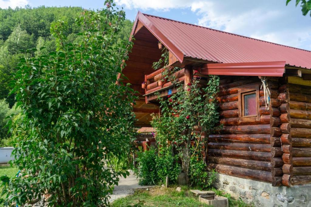 Plav Riverside Village Екстериор снимка
